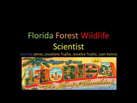 Florida Forest Wildlife Scientist Jasmine James, Jeweliana Trujillo, Jewelisa Trujillo, Juan Ramos.