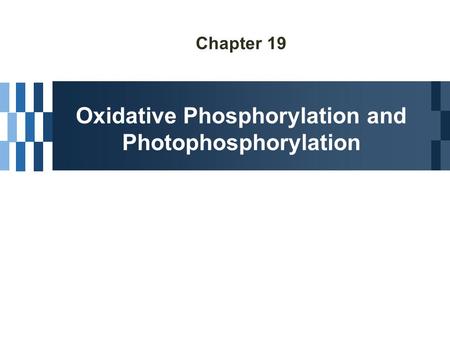 Chapter 19 Oxidative Phosphorylation and Photophosphorylation.