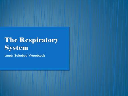 The Respiratory System