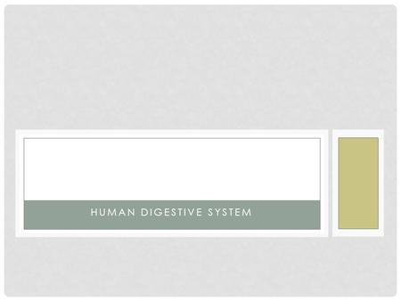 HUMAN DIGESTIVE SYSTEM DIGESTION Phases Include 1.Ingestion 2.Movement 3.Mechanical and Chemical Digestion 4.Absorption 5.Elimination.