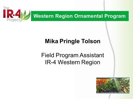 Mika Pringle Tolson Field Program Assistant IR-4 Western Region Western Region Ornamental Program.