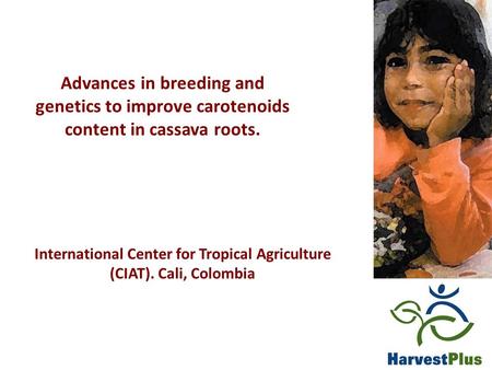 Advances in breeding and genetics to improve carotenoids content in cassava roots. International Center for Tropical Agriculture (CIAT). Cali, Colombia.