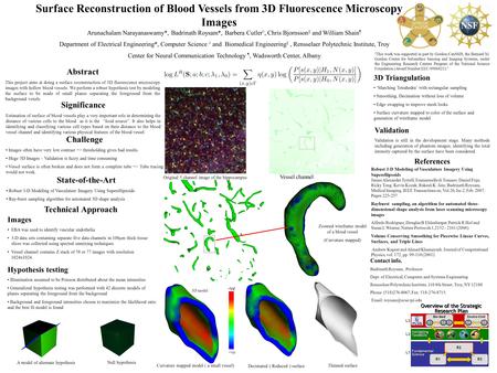 Surface Reconstruction of Blood Vessels from 3D Fluorescence Microscopy Images Abstract This project aims at doing a surface reconstruction of 3D fluorescence.