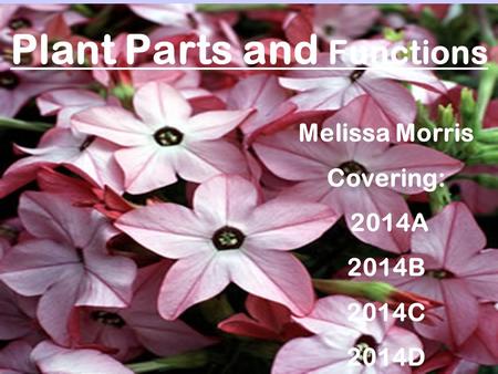 Plant Parts and Functions Melissa Morris Covering: 2014A 2014B 2014C 2014D.