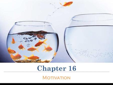 Chapter 16 Motivation. The Concept of Motivation Motivation - the arousal, direction, and persistence of behavior Forces either intrinsic or extrinsic.