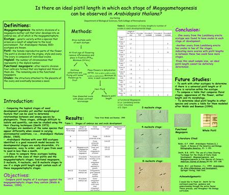 Is there an ideal pistil length in which each stage of Megagametogenesis can be observed in Arabidopsis thaliana? Introduction: Comparing the haploid stages.