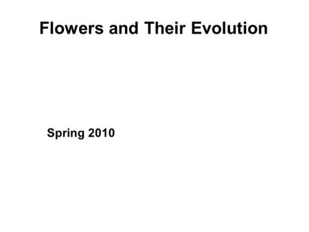 Flowers and Their Evolution Spring 2010. Flower = a short, determinate shoot bearing highly modified leaves, some of which are fertile (i.e., bearing.