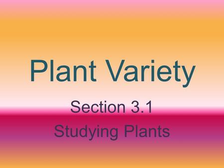 Plant Variety Section 3.1 Studying Plants. Double BubbleComparing and Contrasting Plant 1Plant 2 Plant Poster Activity.