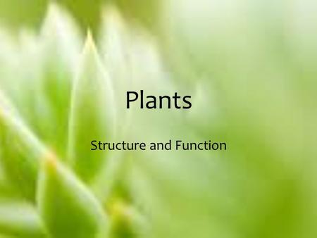 Structure and Function