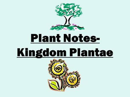 Plant Notes- Kingdom Plantae