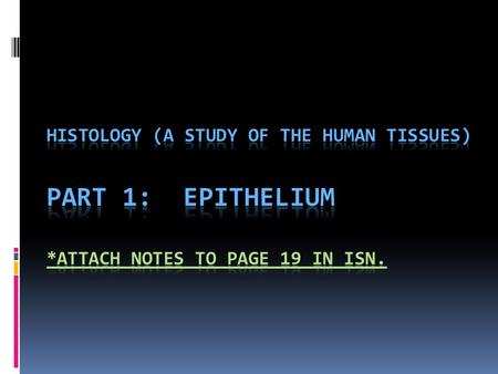 The Organization of Life cells tissues organs organ system organism.