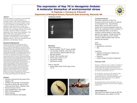The expression of Hsp 70 in Hexagenia limbata: A molecular biomarker of environmental stress M. Peplinski, J. Provazza, B. O’Donnell Department of Biological.