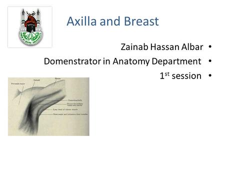 Axilla and Breast Zainab Hassan Albar Domenstrator in Anatomy Department 1 st session.