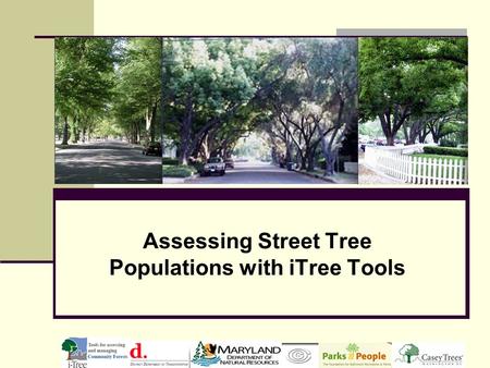 Assessing Street Tree Populations with iTree Tools.