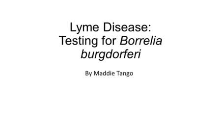 Lyme Disease: Testing for Borrelia burgdorferi By Maddie Tango.