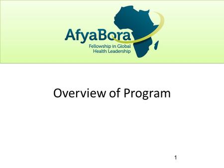 1 Overview of Program. Representatives from the Medical and Nursing Schools of the 8 partner institutions Currently a group of 20 individuals – Growth.