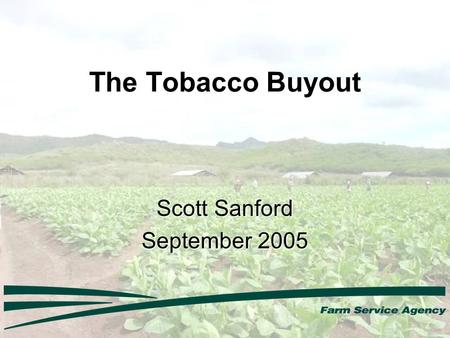 The Tobacco Buyout Scott Sanford September 2005. Outreach 500,000 official signup letters sent to quota holders and producers (6,000 printed in Spanish)