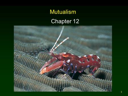 Mutualism Chapter 12.