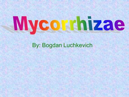 Mycorrhizae By: Bogdan Luchkevich.