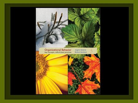 Appreciating Individual Differences: Self-Concept, Personality, Emotions Chapter Five Copyright © 2008 The McGraw-Hill Companies, Inc. All rights reserved.