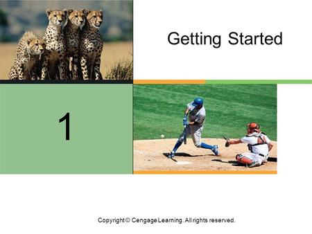 Copyright © Cengage Learning. All rights reserved. Getting Started 1.