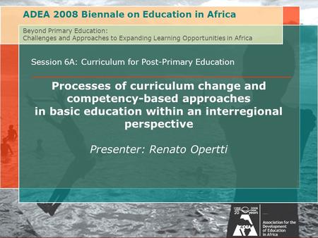 Beyond Primary Education: Challenges of and Approaches to Expanding Learning Opportunities in AfricaAssociation for the Development of Education in Africa.