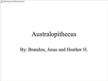 Australopithecus By: Brandon, Jesus and Heather H.