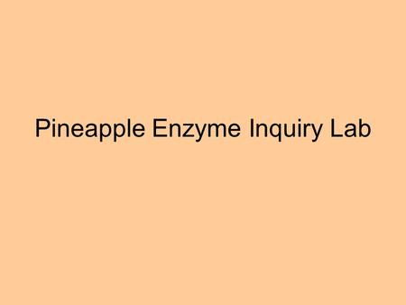 Pineapple Enzyme Inquiry Lab. Question: How do pineapple enzymes of differing conditions (raw, cooked (canned) and frozen) effect gelatin?