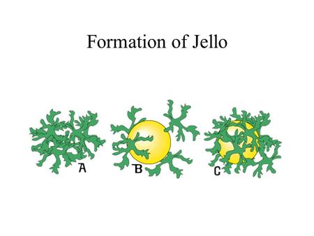 Formation of Jello. Some Interesting Questions What’s Jello made from?? Why does Jello wiggle?? Why does my hand burn if I hold pineapple to long??