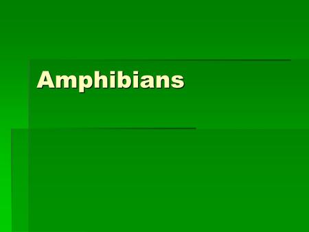 Amphibians.