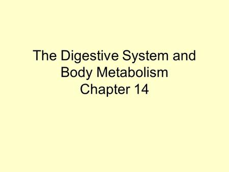 The Digestive System and Body Metabolism Chapter 14