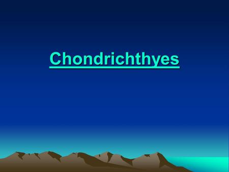 Chondrichthyes.