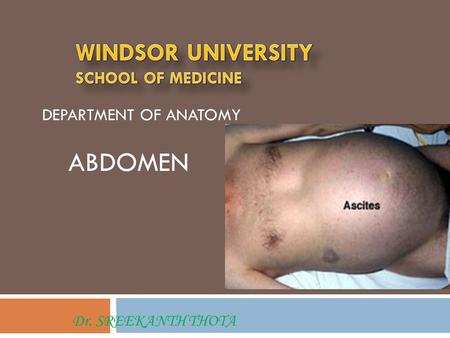 WINDSOR UNIVERSITY SCHOOL OF MEDICINE