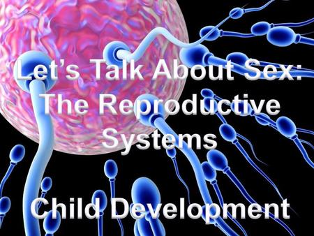 Similarities / Differences Develop very similar structures of sex glands Two genital tubes Manufacture the hormones of the other sex. Hormones of one.