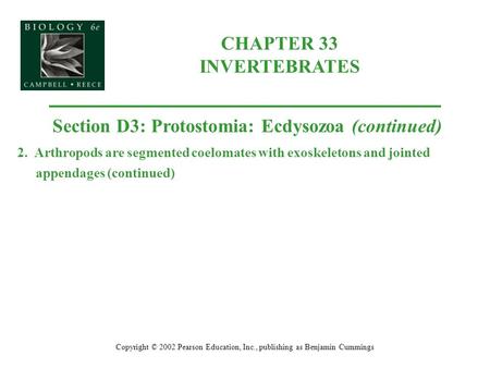 CHAPTER 33 INVERTEBRATES Copyright © 2002 Pearson Education, Inc., publishing as Benjamin Cummings Section D3: Protostomia: Ecdysozoa (continued) 2. Arthropods.