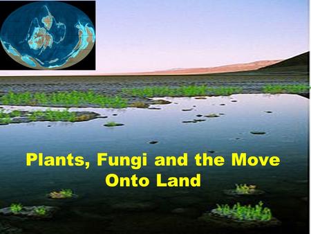 Plants, Fungi and the Move Onto Land. Colonizing Land Terrestrial Adaptations? Structural Shoots, roots, leaves Vascular tissue.