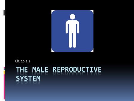 Ch. 20.2.1.  The Endocrine system has 2 major organs responsible for the changes humans go through from child to adult:  Ovaries  Testes.