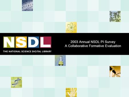 2003 Annual NSDL PI Survey A Collaborative Formative Evaluation.