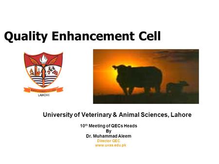 Quality Enhancement Cell University of Veterinary & Animal Sciences, Lahore 10 th Meeting of QECs Heads By Dr. Muhammad Aleem Director QEC www.uvas.edu.pk.