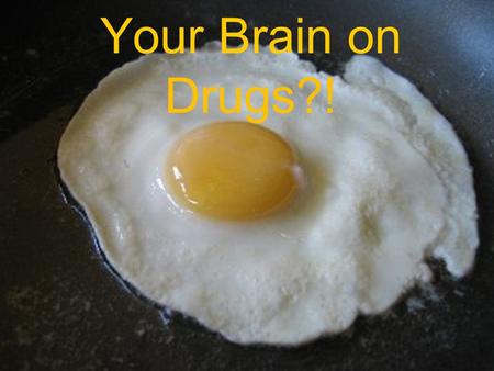 Your Brain on Drugs?!. Drug Basics A drug is any chemical put into the body that changes mental state or bodily function. How a drug is taken can make.