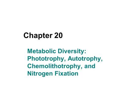 Chapter 20 Metabolic Diversity: Phototrophy, Autotrophy, Chemolithotrophy, and Nitrogen Fixation.