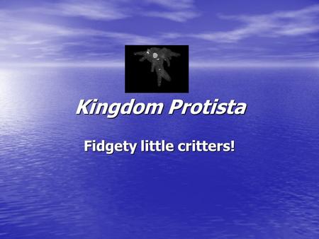 Fidgety little critters!