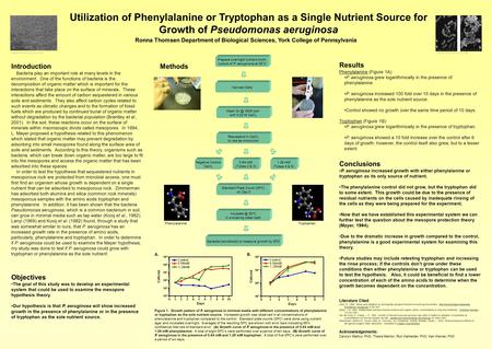 Results Phenylalanine (Figure 1A) P. aeruginosa grew logarithmically in the presence of phenylalanine. P. aeruginosa increased 100 fold over 10 days in.