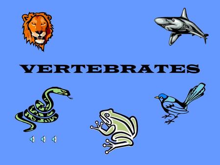 VERTEBRATES.