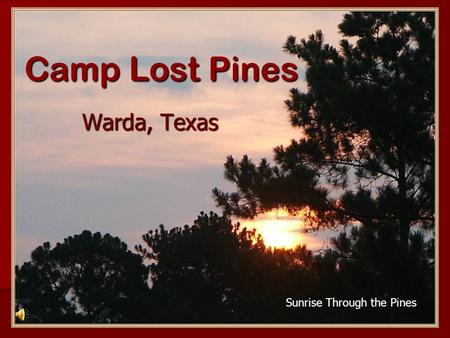 Camp Lost Pines Warda, Texas Sunrise Through the Pines.