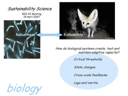 Sustainability Science RobustnessEvolvability BIO AC Meeting 19 April 2007 How do biological systems create, test and maintain adaptive capacity? Critical.