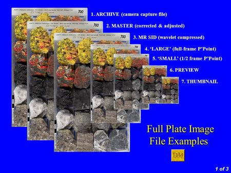 1. ARCHIVE (camera capture file) 2. MASTER (corrected & adjusted) 3. MR SID (wavelet compressed) 4. ‘LARGE’ (full-frame P’Point) 5. ‘SMALL’ (1/2 frame.