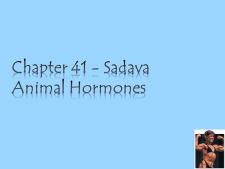 Hormones are chemical signals secreted by cells of the endocrine system. Circulating hormones diffuse into the blood and can activate target cells Paracrine.