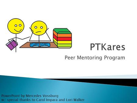 Peer Mentoring Program