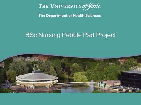 BSc Nursing Pebble Pad Project. Why Change? By moving to electronic portfolios we want to: Make the portfolio secure and deal with the risks of both loss.